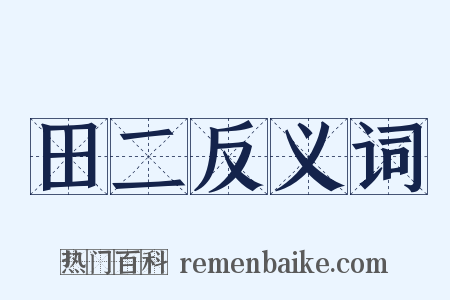 田二反义词是什么意思的图片